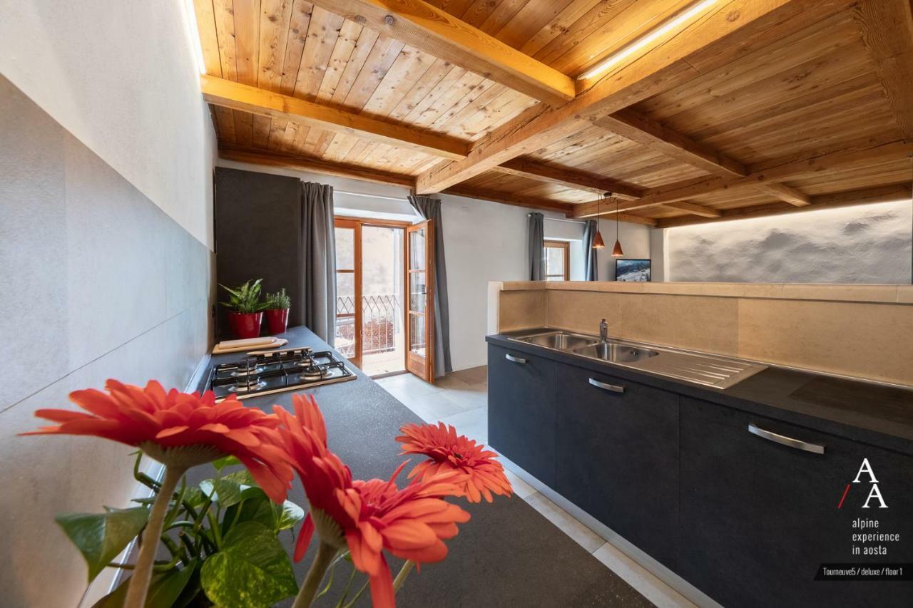 Alp Apartments Ski & Bike - Tourneuve5 Aosta Exteriér fotografie