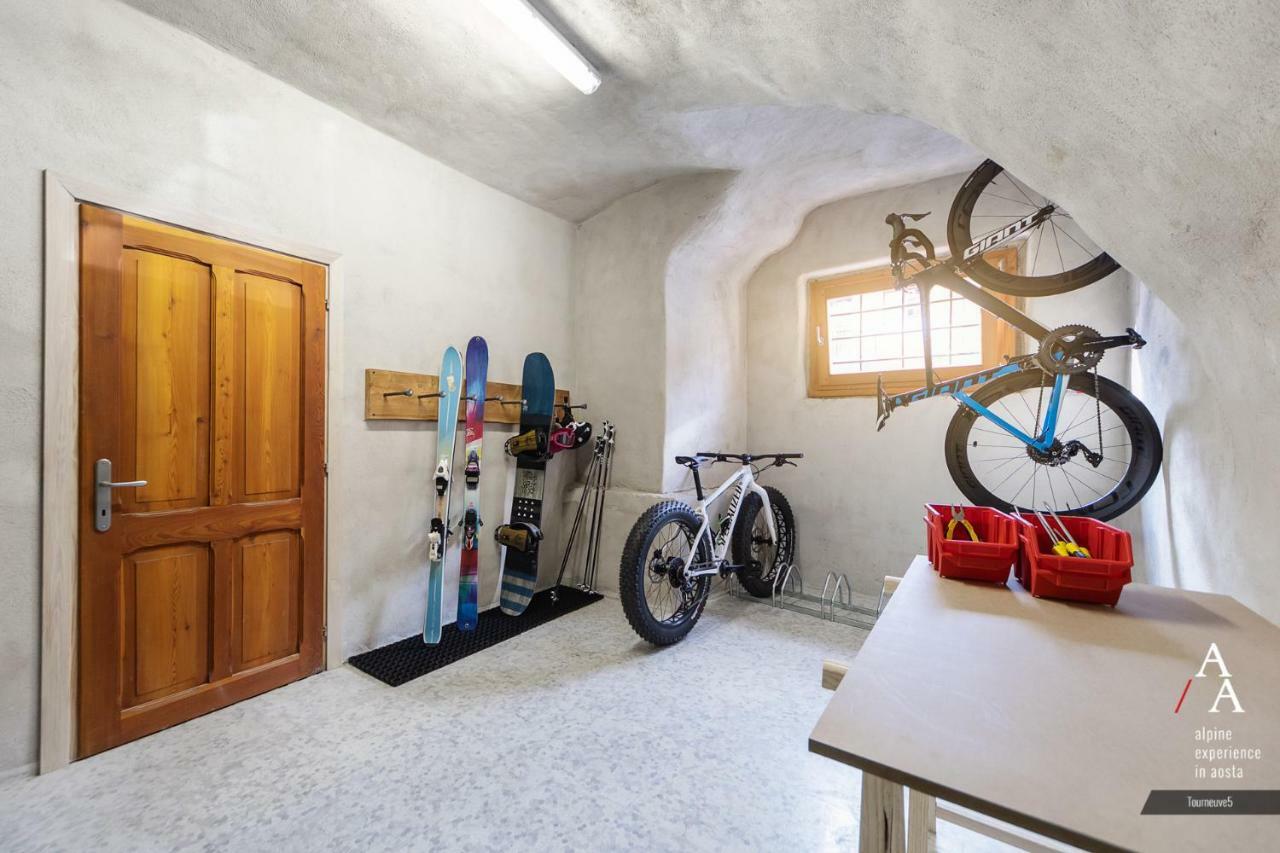 Alp Apartments Ski & Bike - Tourneuve5 Aosta Exteriér fotografie