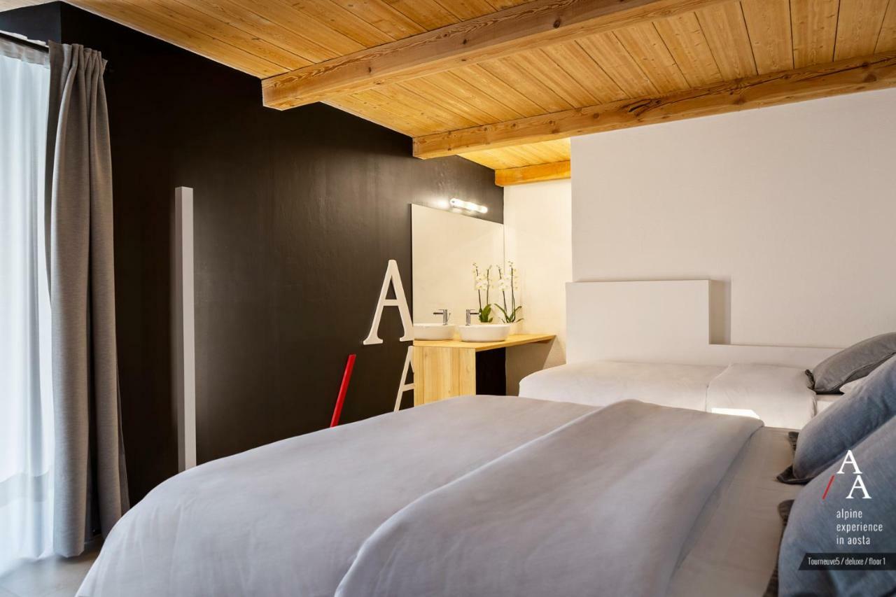Alp Apartments Ski & Bike - Tourneuve5 Aosta Exteriér fotografie